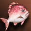 Red Fat Fish