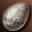 Egg of Wyvern Shamhai