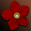 Fancy Red Petal