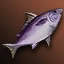 Purple Nimble Fish (High-grade)